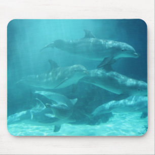 Tapis De Souris Dauphins