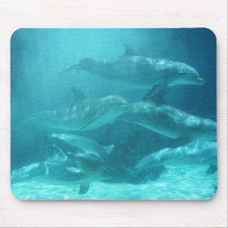 Tapis De Souris Dauphins