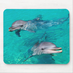 Tapis De Souris Dauphins
