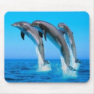 Tapis De Souris Dauphins