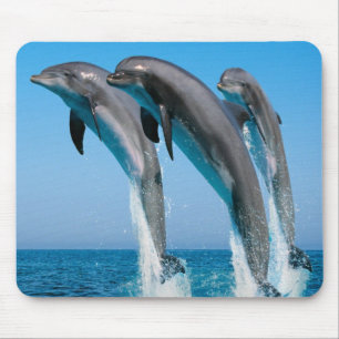 Tapis De Souris Dauphins de danse