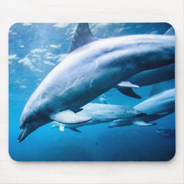 Tapis De Souris Dauphins sous-marins (Devant)