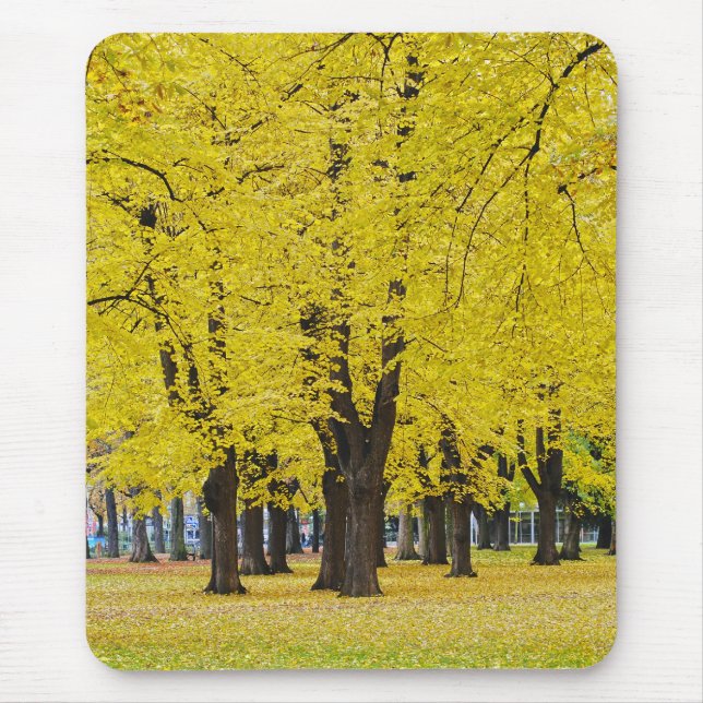 Tapis de souris d'automne (Devant)