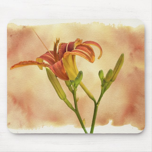 Tapis De Souris Daylilies - Hemerocallis (Devant)