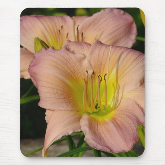 Tapis De Souris Daylilly (Devant)