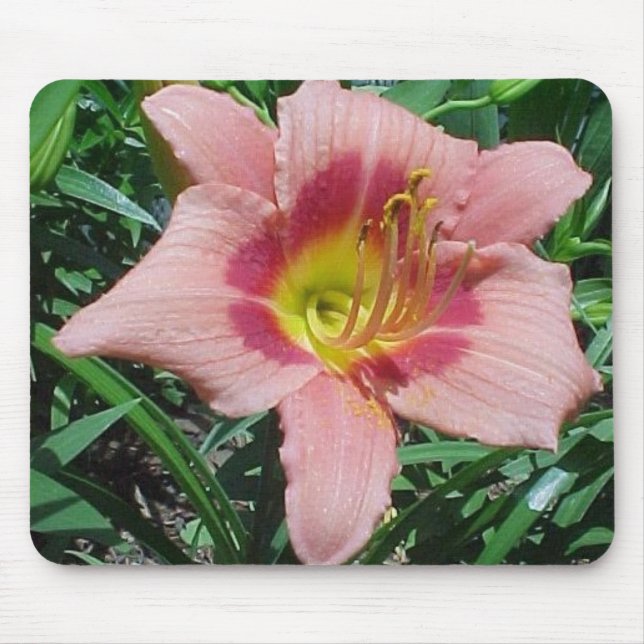 Tapis De Souris Daylily de fracas de cerise (Devant)