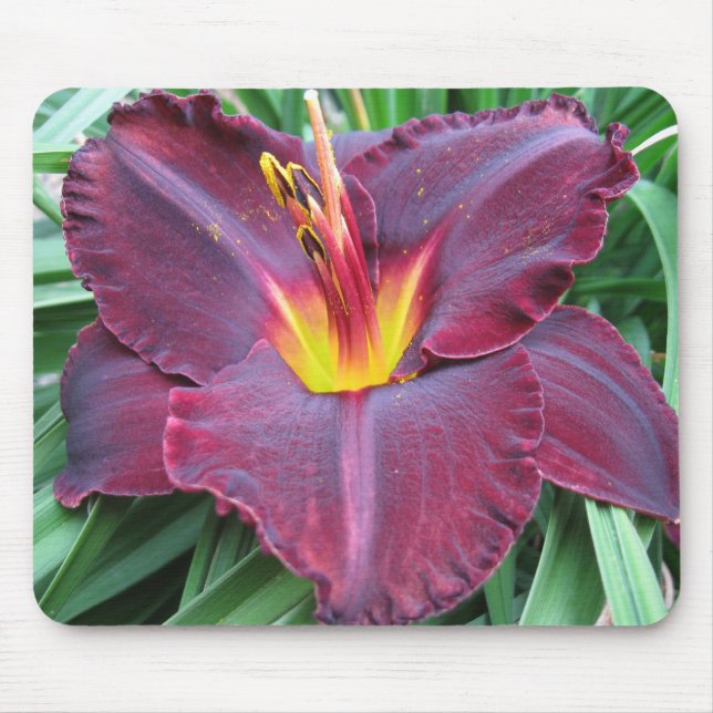 Tapis De Souris Daylily volcanique Mousepad (Devant)