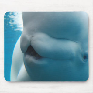 Tapis de souris de baleine de beluga
