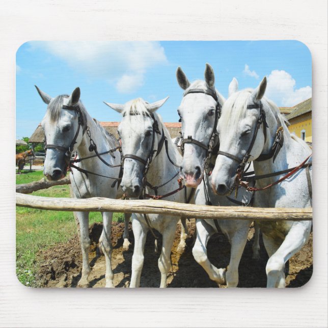 Tapis De Souris De beaux chevaux (Devant)