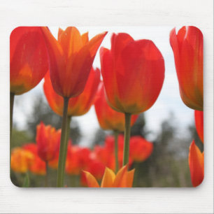 Tapis De Souris De Belles Fleurs De Tulipes Rouges.