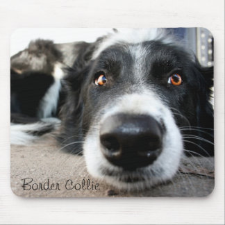 Tapis de souris de border collie