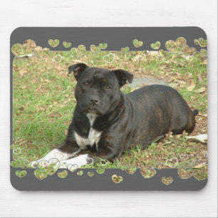 Tapis de souris de bull-terrier du Staffordshire