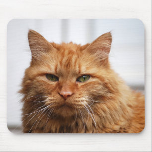 Tapis de souris de chat de ragondin du Maine