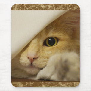 Tapis de souris de chaton jaune mignon