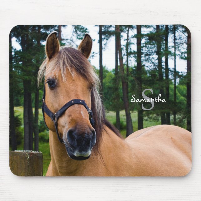 Tapis de souris de cheval (Devant)
