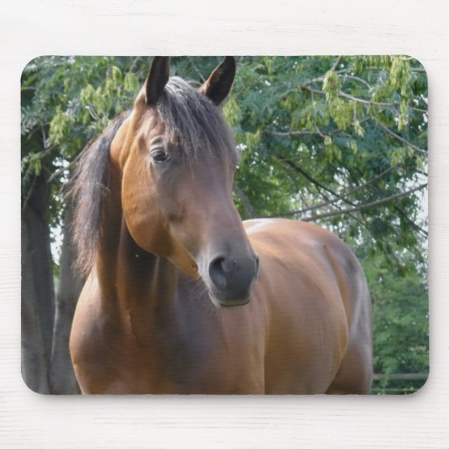 Tapis de souris de cheval de pur sang de baie (Devant)