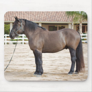 Tapis de souris de cheval de trait