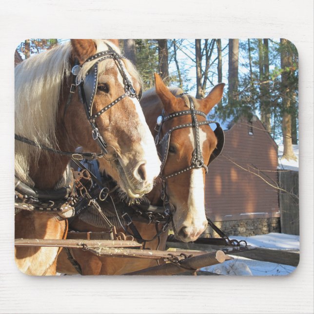 Tapis de souris de cheval d'hiver rustique (Devant)