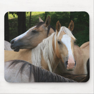 Tapis de souris de chevaux