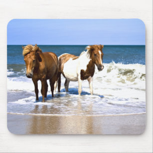 Tapis de souris de chevaux de beautés de plage