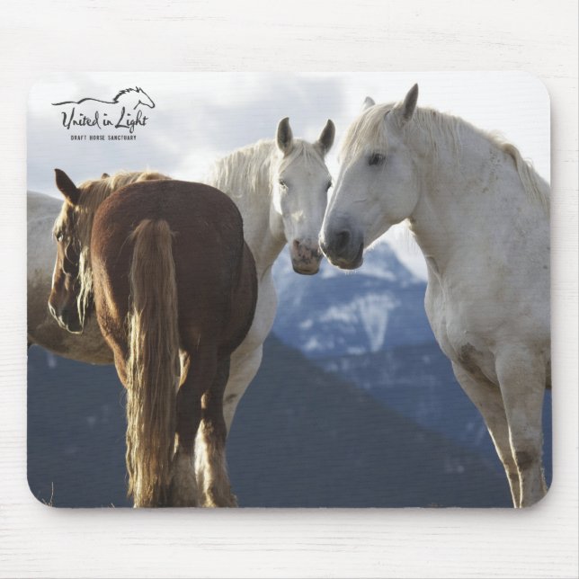 Tapis de souris de chevaux de trait (Devant)