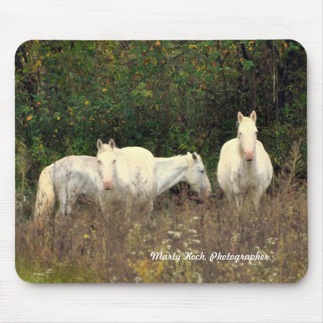 Tapis de souris de chevaux sauvages de la (Devant)