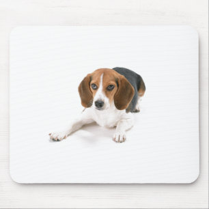 Tapis de souris de chien de beagle