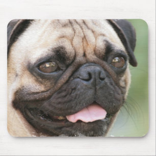 Tapis de souris de chien de carlin