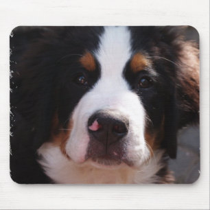Tapis de souris de chien de montagne de Bernese