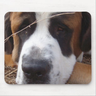 Tapis de souris de chien de St Bernard