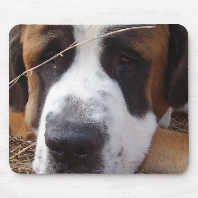 Tapis de souris de chien de St Bernard (Devant)