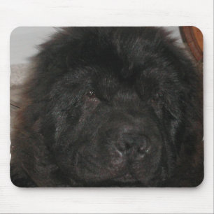 Tapis de souris de chien de Terre-Neuve