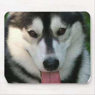 Tapis de souris de chien de traîneau