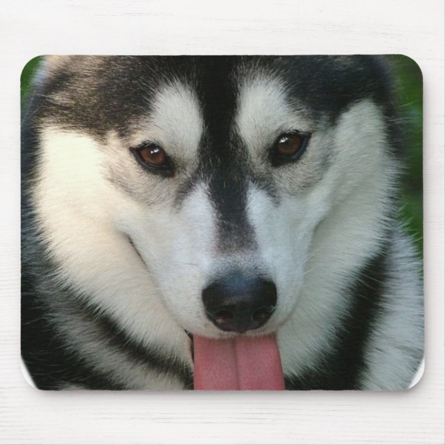 Tapis de souris de chien de traîneau (Devant)