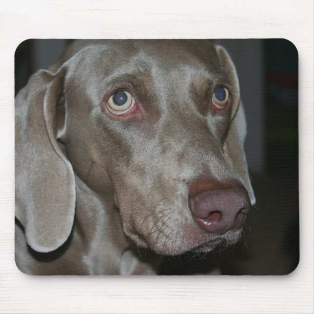 Tapis de souris de chien de Weimaraner (Devant)