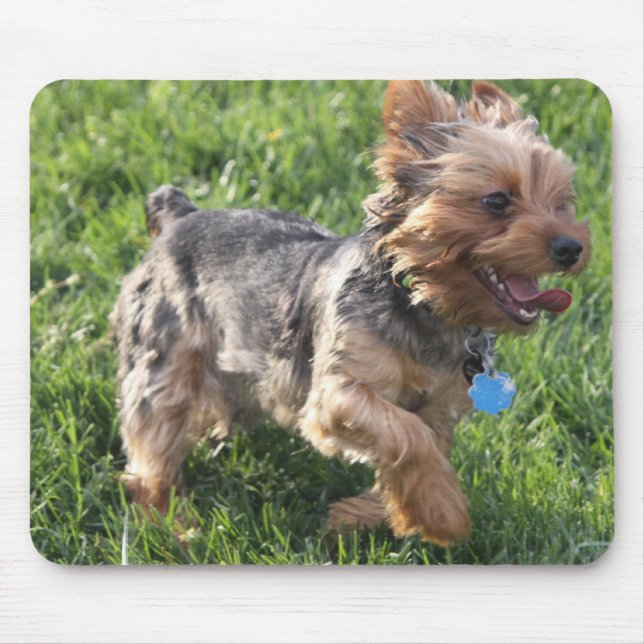 Tapis de souris de chien de York Terrier (Devant)