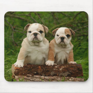 Tapis de souris de chiot Bouledogue anglais Amour
