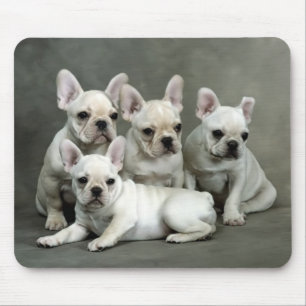 Tapis de souris de chiot Bouledogue français migno