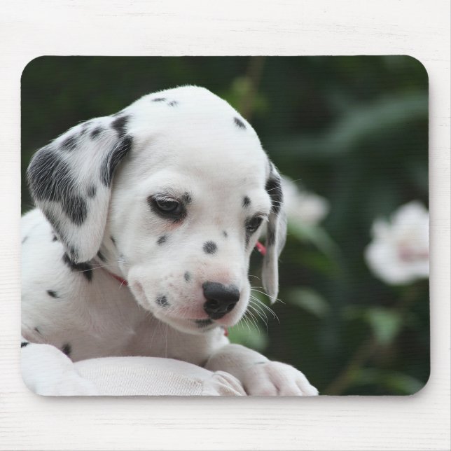 Tapis de souris de chiot dalmatien amour (Devant)