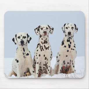Tapis de souris de chiot dalmatien amour