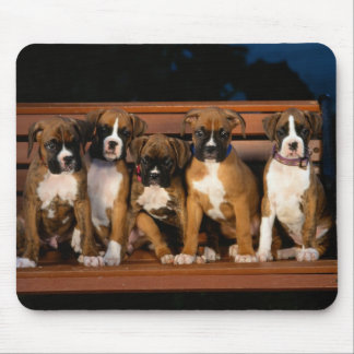 tapis de souris de chiot de boxeur