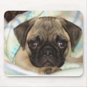 Tapis de souris de chiot de carlin