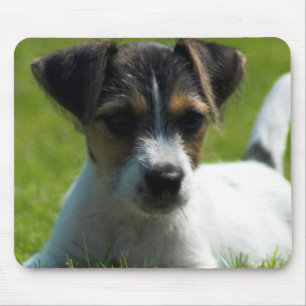 Tapis de souris de chiot de Jack Russell