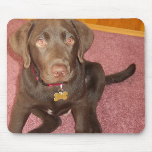 Tapis de souris de chiot de Labrador de chocolat