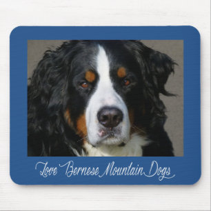 Tapis de souris de chiot de montagne bernois Amour