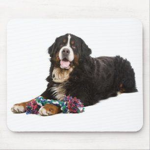 Tapis de souris de chiot de montagne bernois Amour