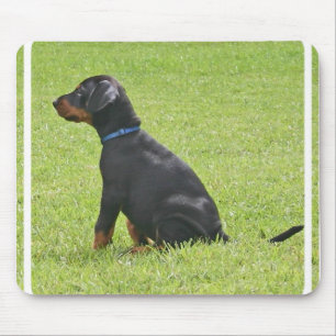 Tapis de souris de chiot de Pinscher de dobermann