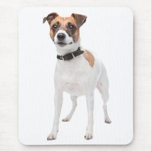 Tapis de souris de chiot Jack Russell Terrier Amou