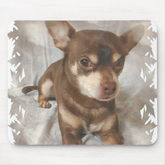 Tapis de souris de chiwawa (Devant)