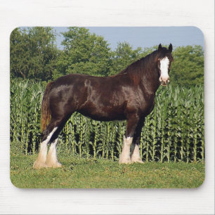 Tapis de souris de Clydesdale